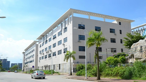 bamboo skewers Manufacturer - Gorlando